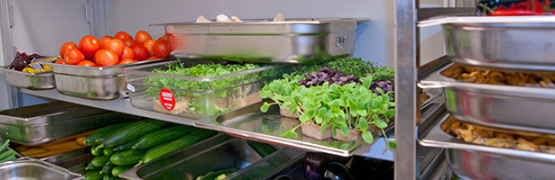 Vegetables in a walk-in refrigerator